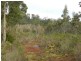 Lot 1 Waratah Road, Waratah TAS 7321