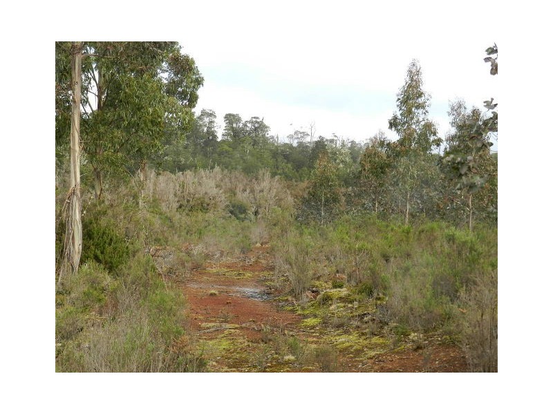 Lot 1 Waratah Road, Waratah TAS 7321