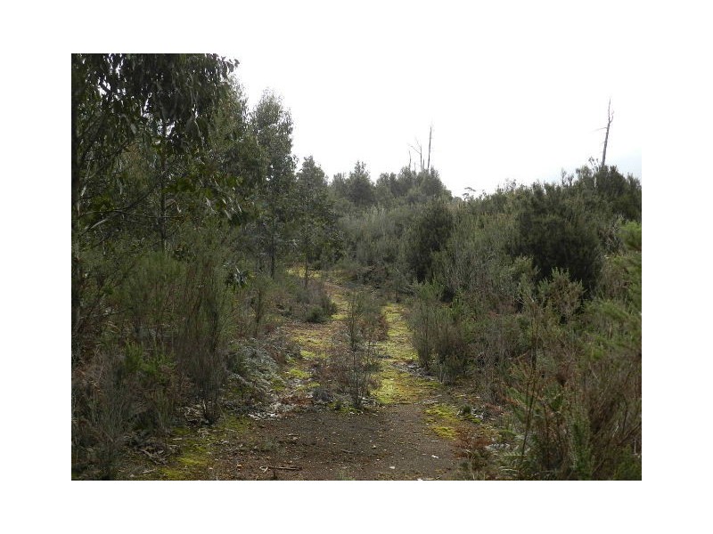 Lot 1 Waratah Road, Waratah TAS 7321