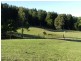 153 South Elliott Road, Elliott TAS 7325