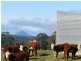 153 South Elliott Road, Elliott TAS 7325