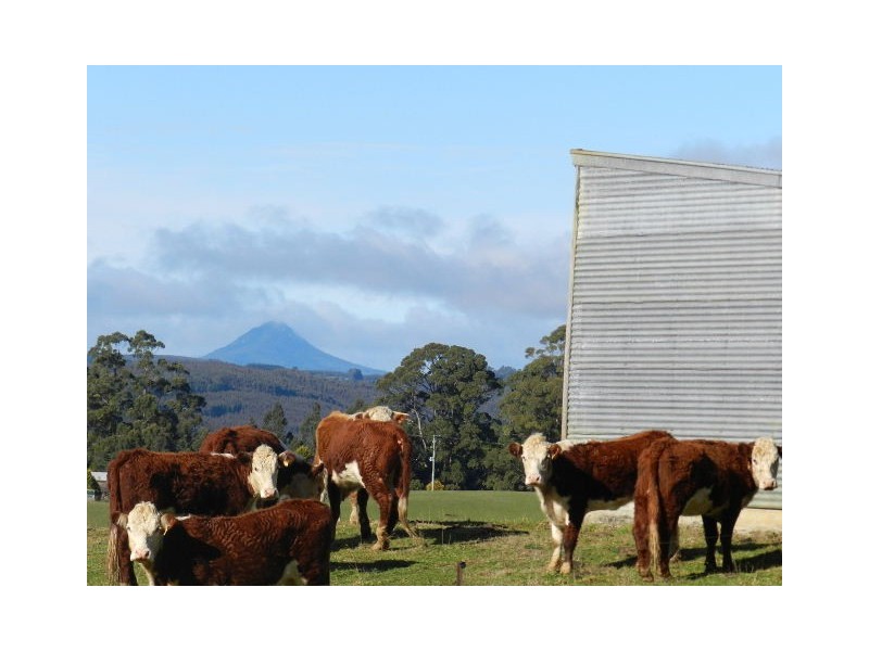 153 South Elliott Road, Elliott TAS 7325