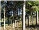 153 South Elliott Road, Elliott TAS 7325