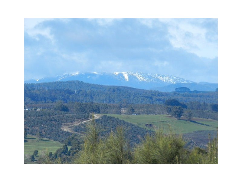 153 South Elliott Road, Elliott TAS 7325