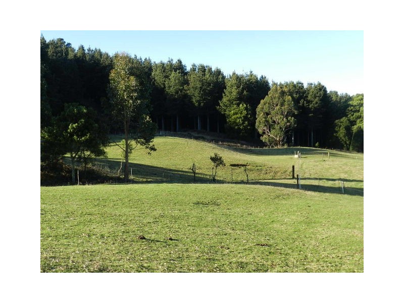 153 South Elliott Road, Elliott TAS 7325