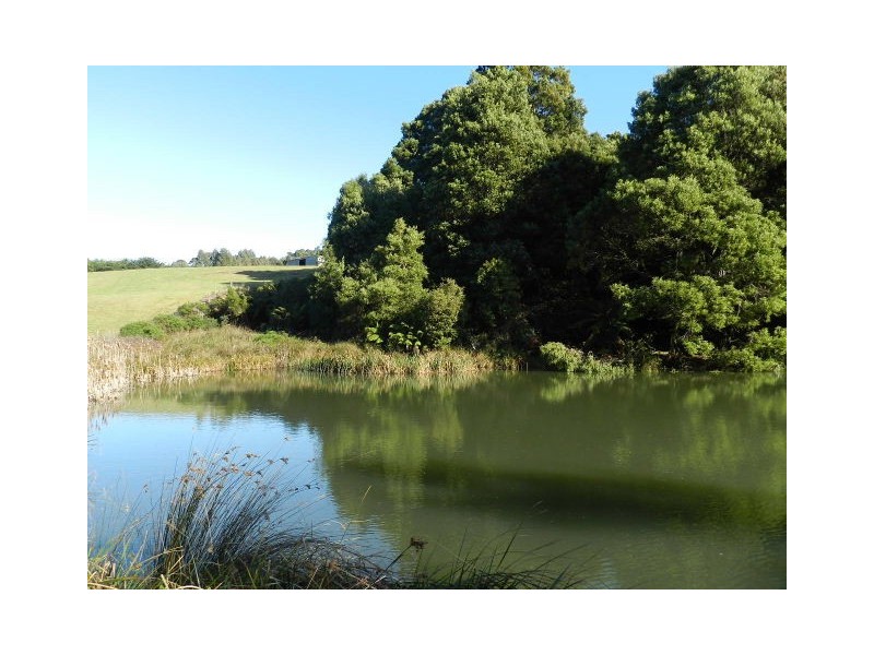 153 South Elliott Road, Elliott TAS 7325