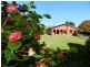 839 Ridgley Highway, Ridgley TAS 7321