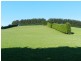 839 Ridgley Highway, Ridgley TAS 7321