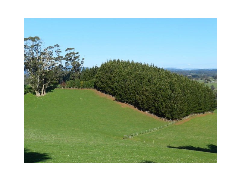 839 Ridgley Highway, Ridgley TAS 7321