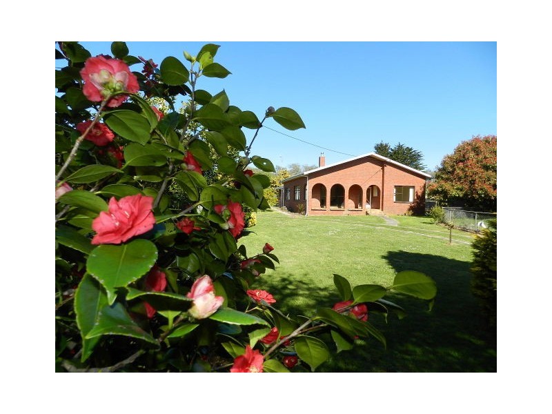 839 Ridgley Highway, Ridgley TAS 7321