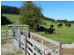 839 Ridgley Highway, Ridgley TAS 7321