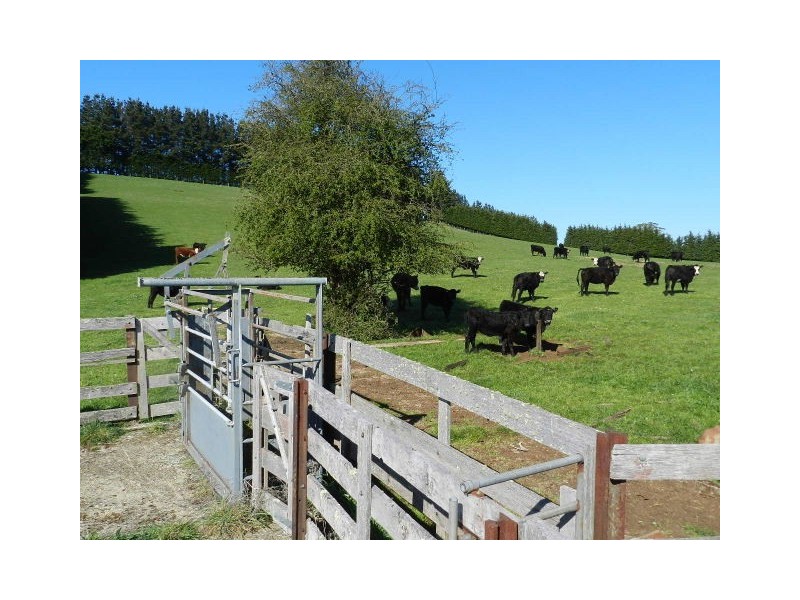 839 Ridgley Highway, Ridgley TAS 7321