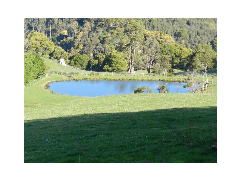 839 Ridgley Highway, Ridgley TAS 7321