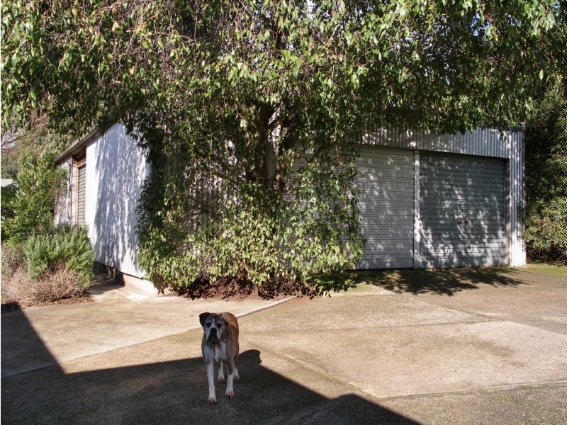 277 Murchison Highway, Somerset TAS 7322