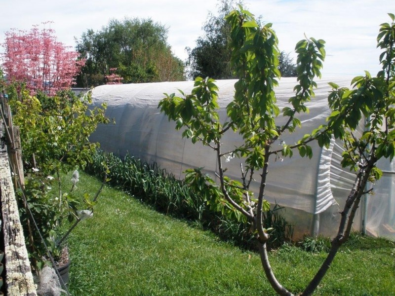 277 Murchison Highway, Somerset TAS 7322