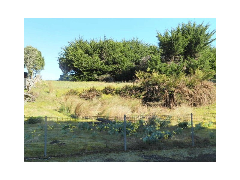 36 Main Street, Waratah TAS 7321