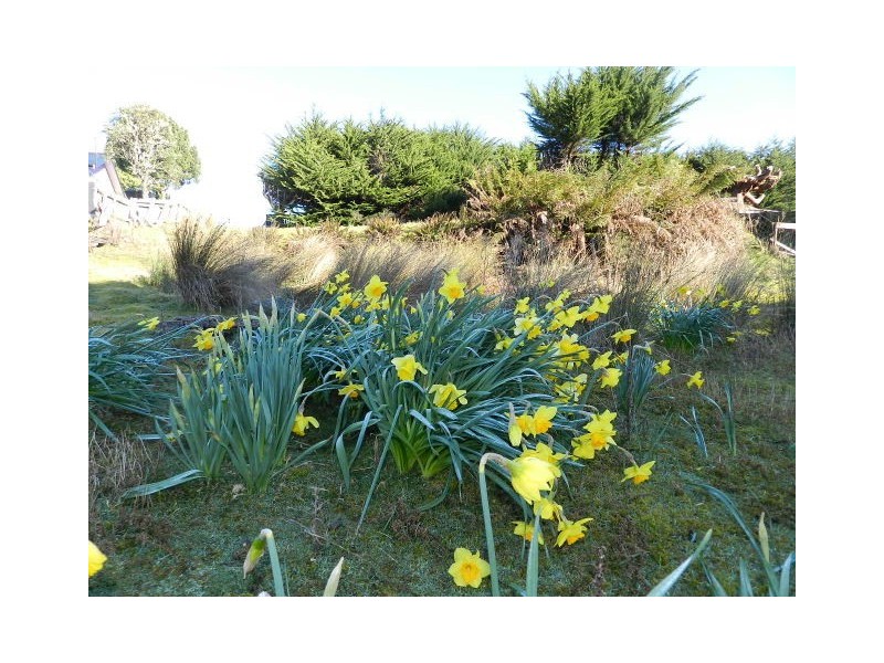 36 Main Street, Waratah TAS 7321