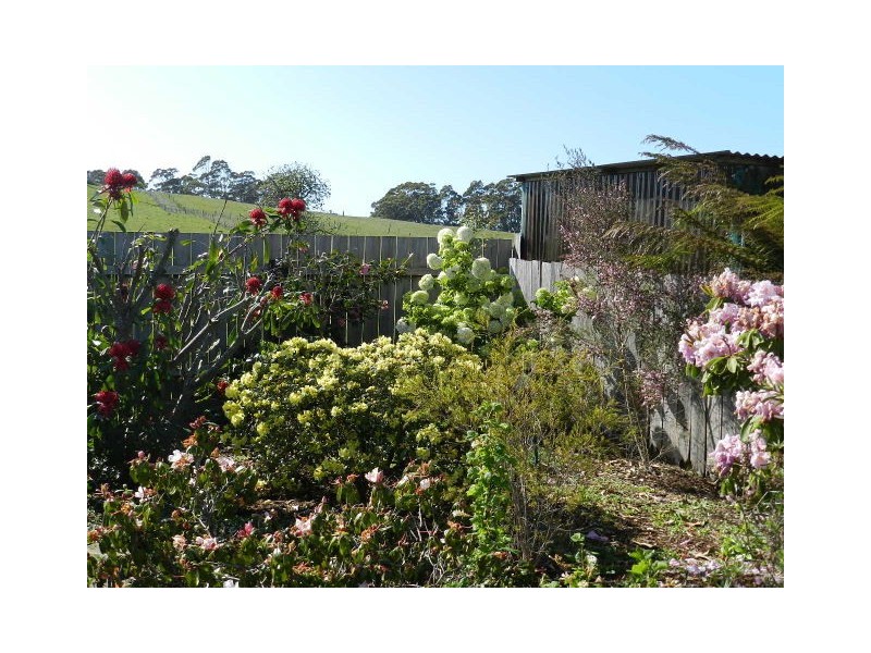 949 Ridgley Highway, Ridgley TAS 7321