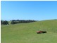 474 West Mooreville Road, West Mooreville TAS 7321