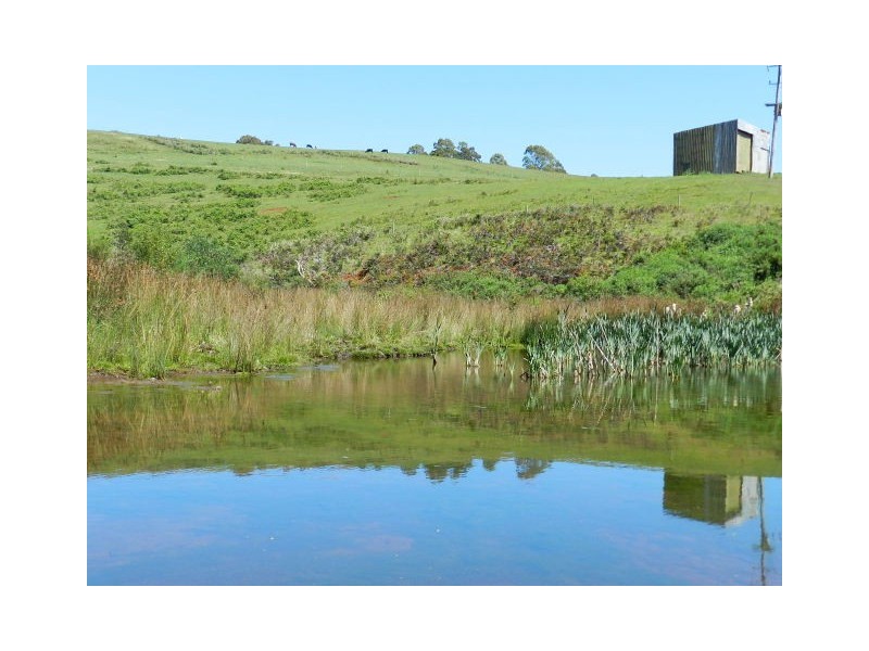 474 West Mooreville Road, West Mooreville TAS 7321