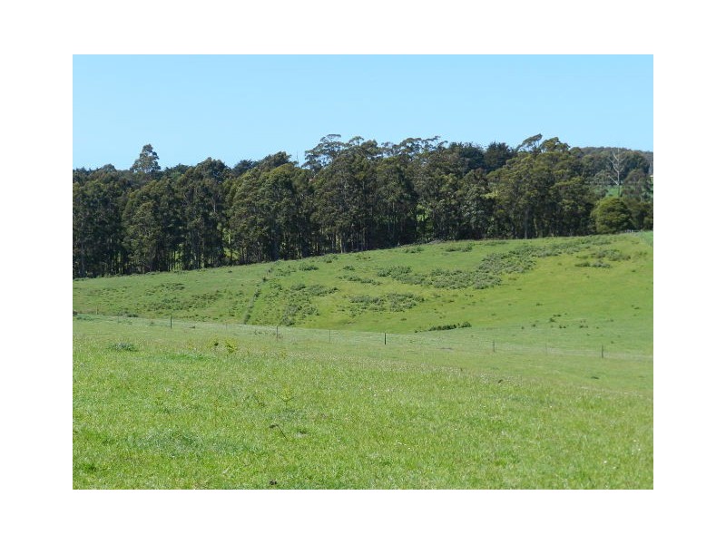 474 West Mooreville Road, West Mooreville TAS 7321