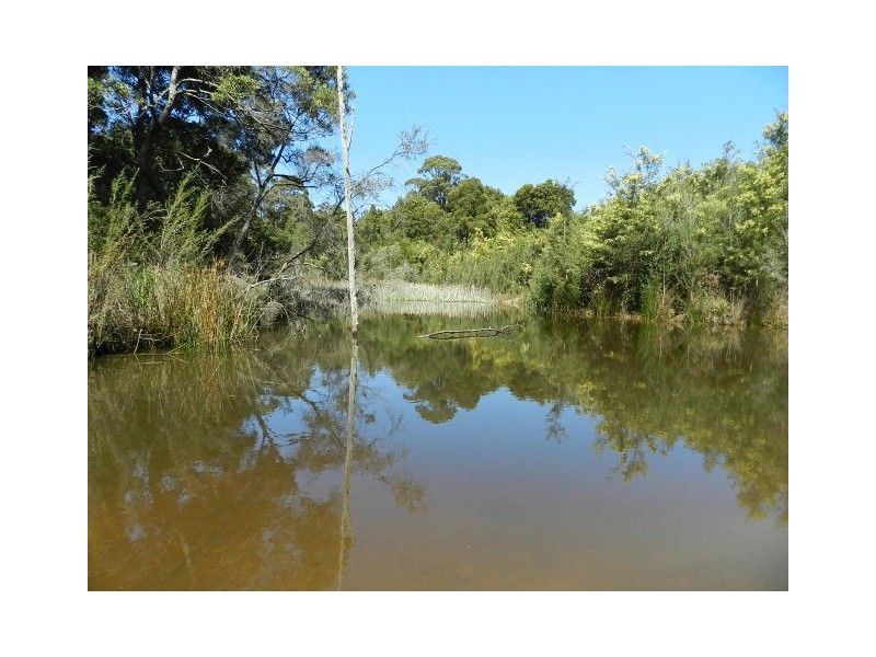474 West Mooreville Road, West Mooreville TAS 7321