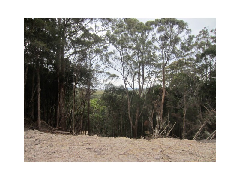 2 Park Street, Strahan TAS 7468