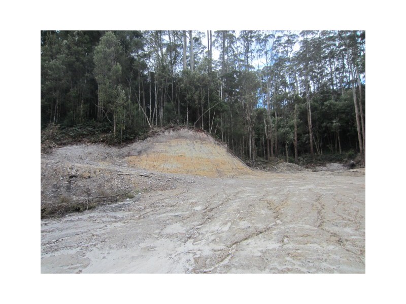 2 Park Street, Strahan TAS 7468