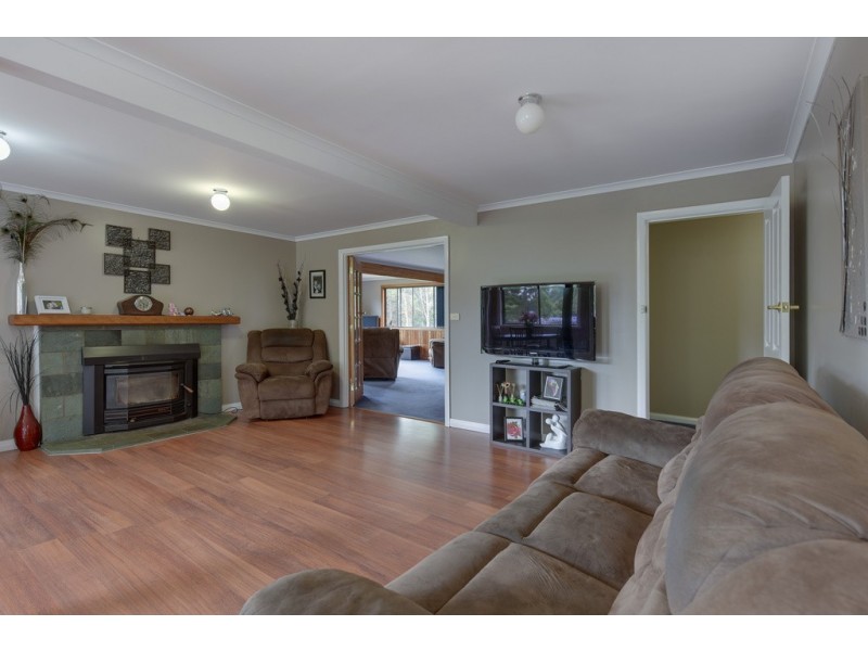394 Preolenna Road, Flowerdale TAS 7325