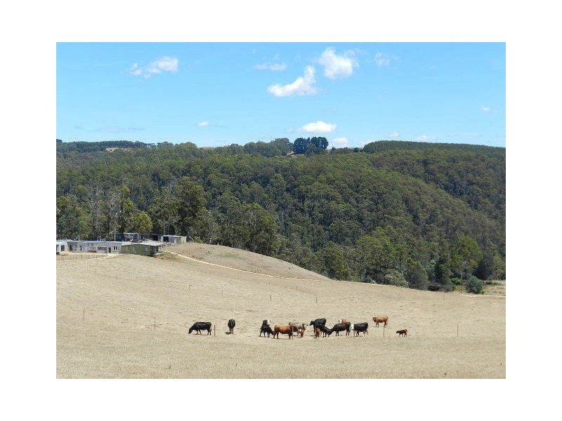 59 Etchells Road, Cuprona TAS 7316