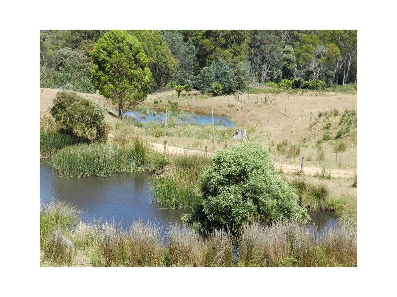 59 Etchells Road, Cuprona TAS 7316