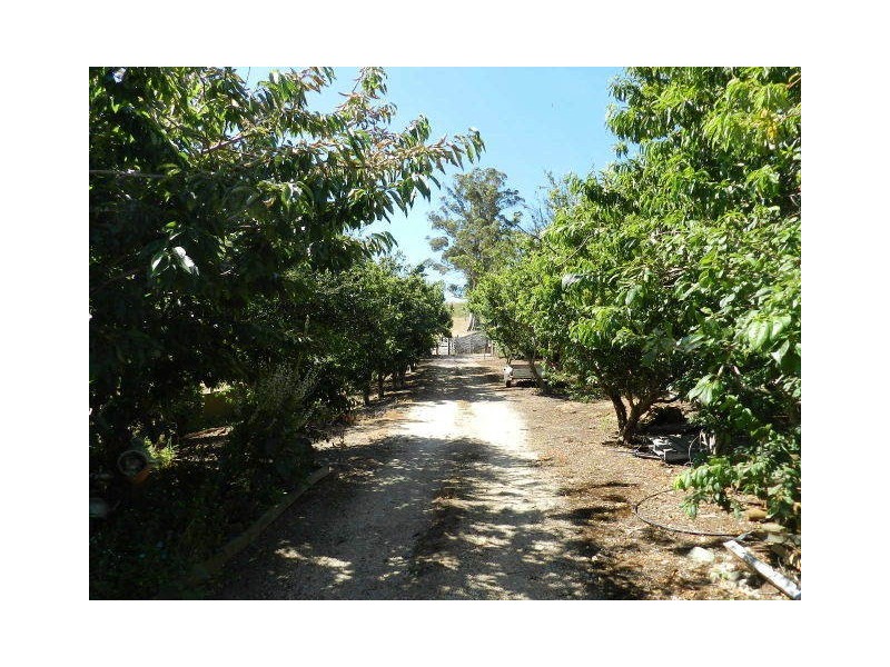 59 Etchells Road, Cuprona TAS 7316