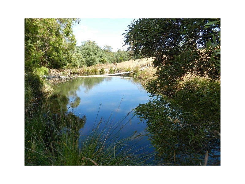 59 Etchells Road, Cuprona TAS 7316