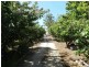59 Etchells Road, Cuprona TAS 7316