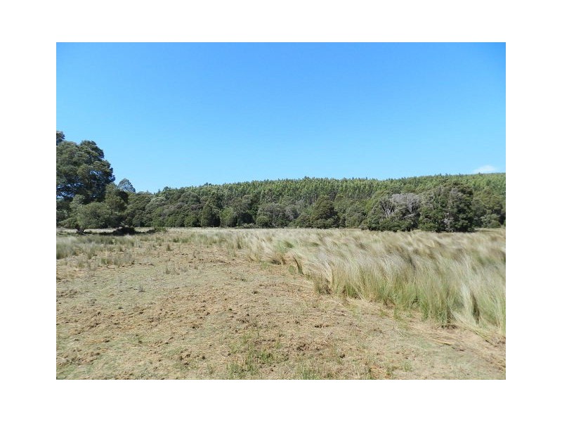 37 Woolleys Road, Takone TAS 7325