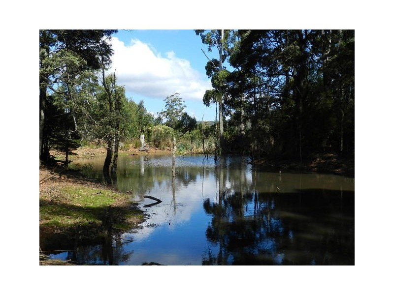 37 Woolleys Road, Takone TAS 7325