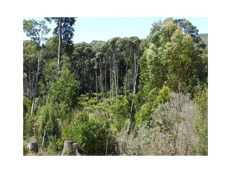 37 Woolleys Road, Takone TAS 7325