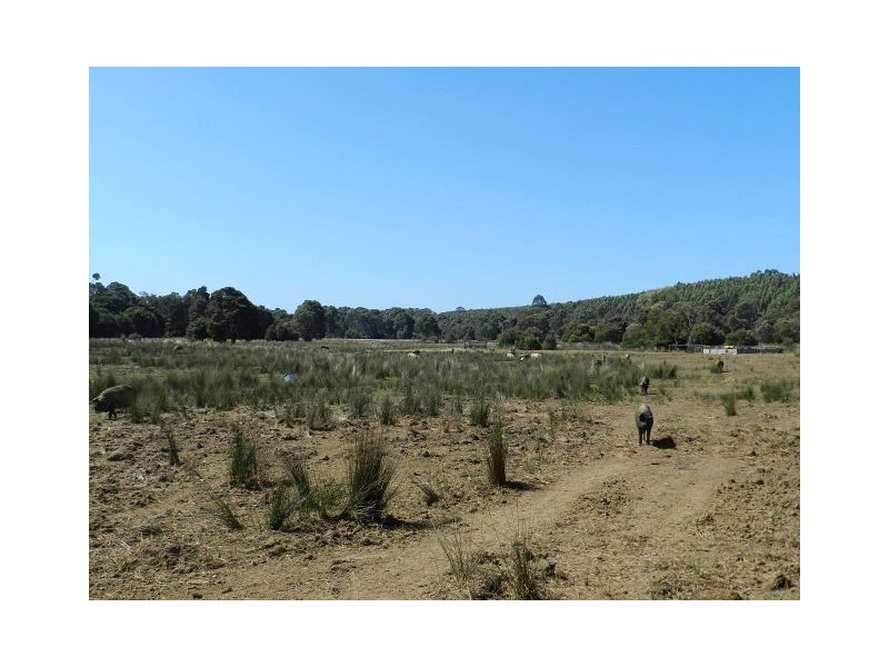 37 Woolleys Road, Takone TAS 7325