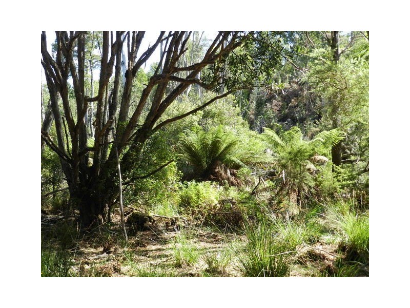 37 Woolleys Road, Takone TAS 7325