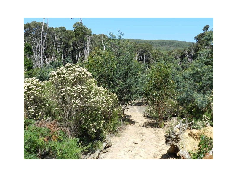 37 Woolleys Road, Takone TAS 7325