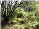 37 Woolleys Road, Takone TAS 7325
