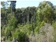 37 Woolleys Road, Takone TAS 7325