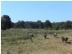 37 Woolleys Road, Takone TAS 7325