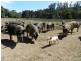 37 Woolleys Road, Takone TAS 7325