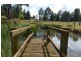 691 Ridgley Highway, Ridgley TAS 7321