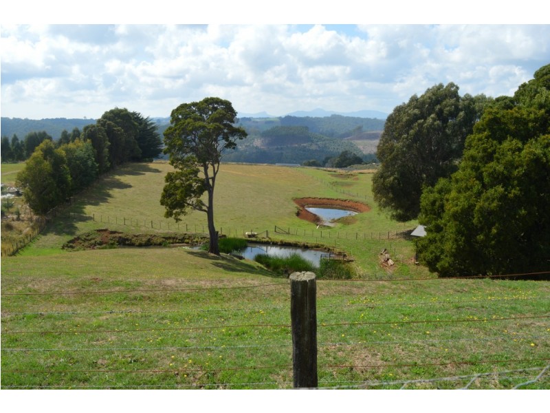 691 Ridgley Highway, Ridgley TAS 7321