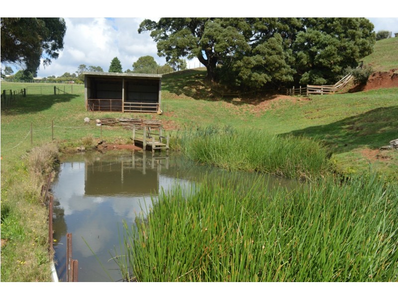 691 Ridgley Highway, Ridgley TAS 7321