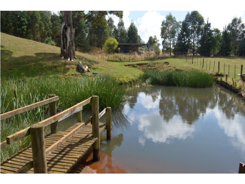 691 Ridgley Highway, Ridgley TAS 7321