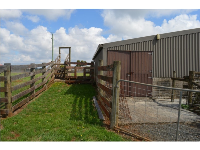 691 Ridgley Highway, Ridgley TAS 7321