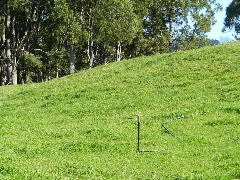 267 South Elliott Road, Elliott TAS 7325